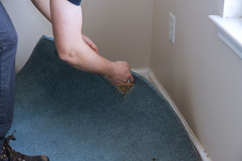 Basement Carpet Stretching in Mercer County, NJ