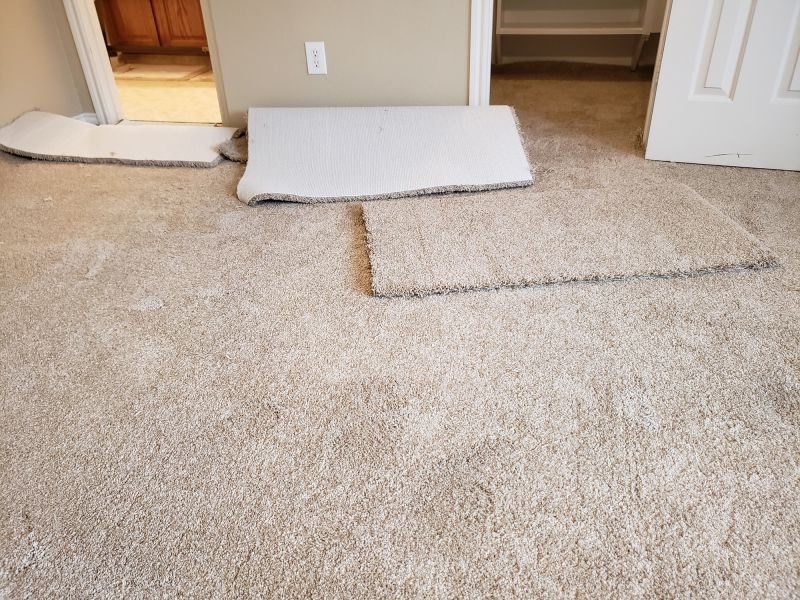 Carpet Cushion Replacement in Denver County, CO