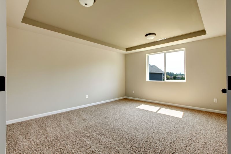 Carpet Hole Repair in Denver County, CO