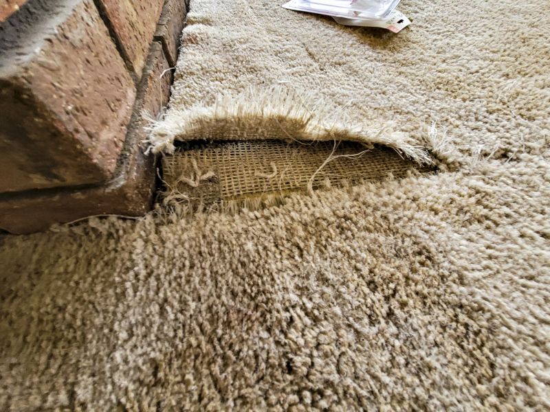 Carpet Repair Service in Overland Park, KS