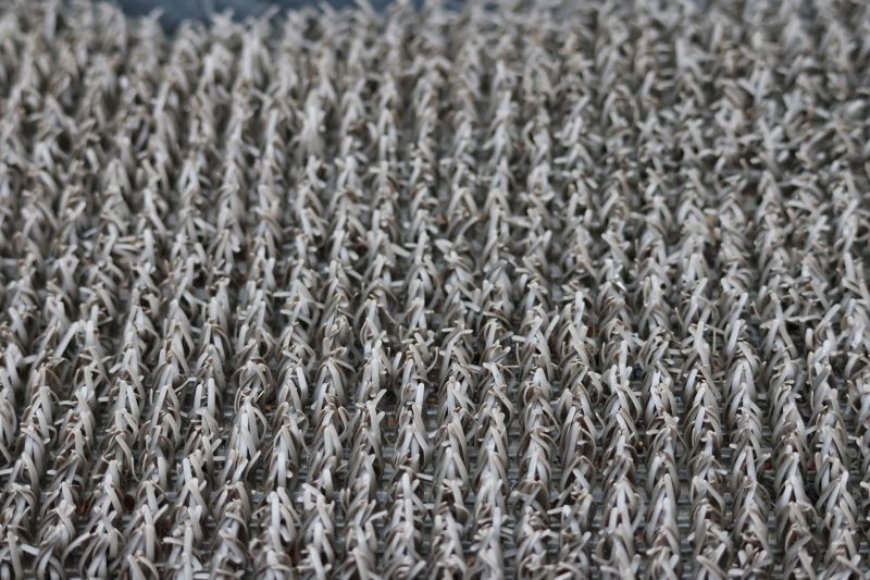 Carpet Restretching in Olathe, KS