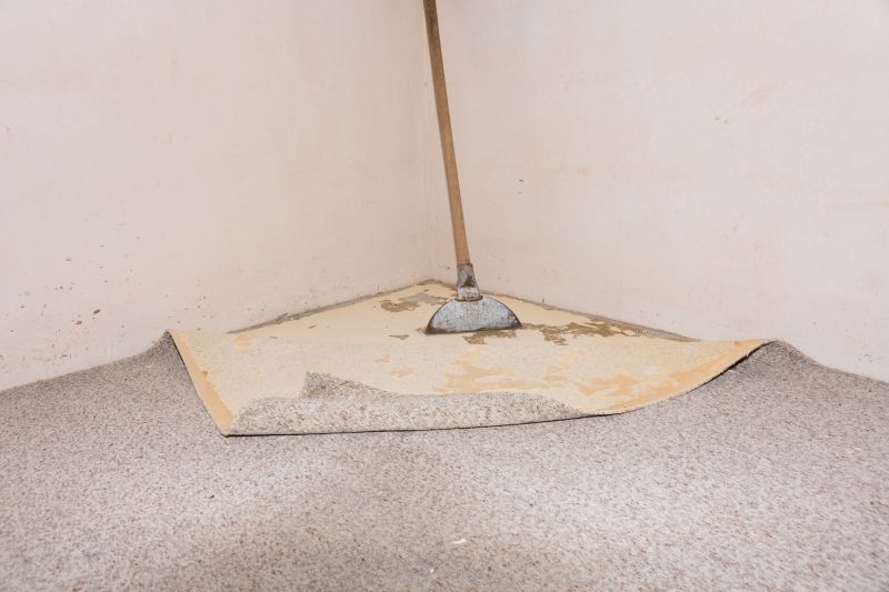 Doorway Carpet Repair in Olathe, KS