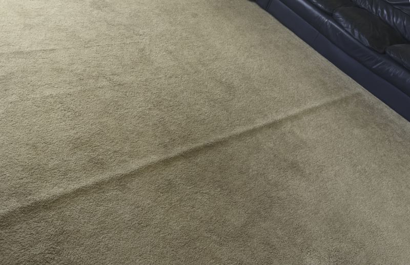 Residential Carpet Repair in Littleton, CO