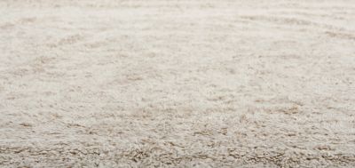 Restore a Uniform Look of the Carpet!